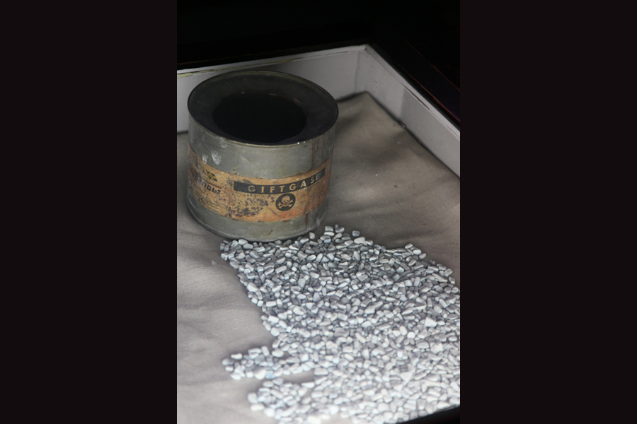 Medicine and the Holocaust
