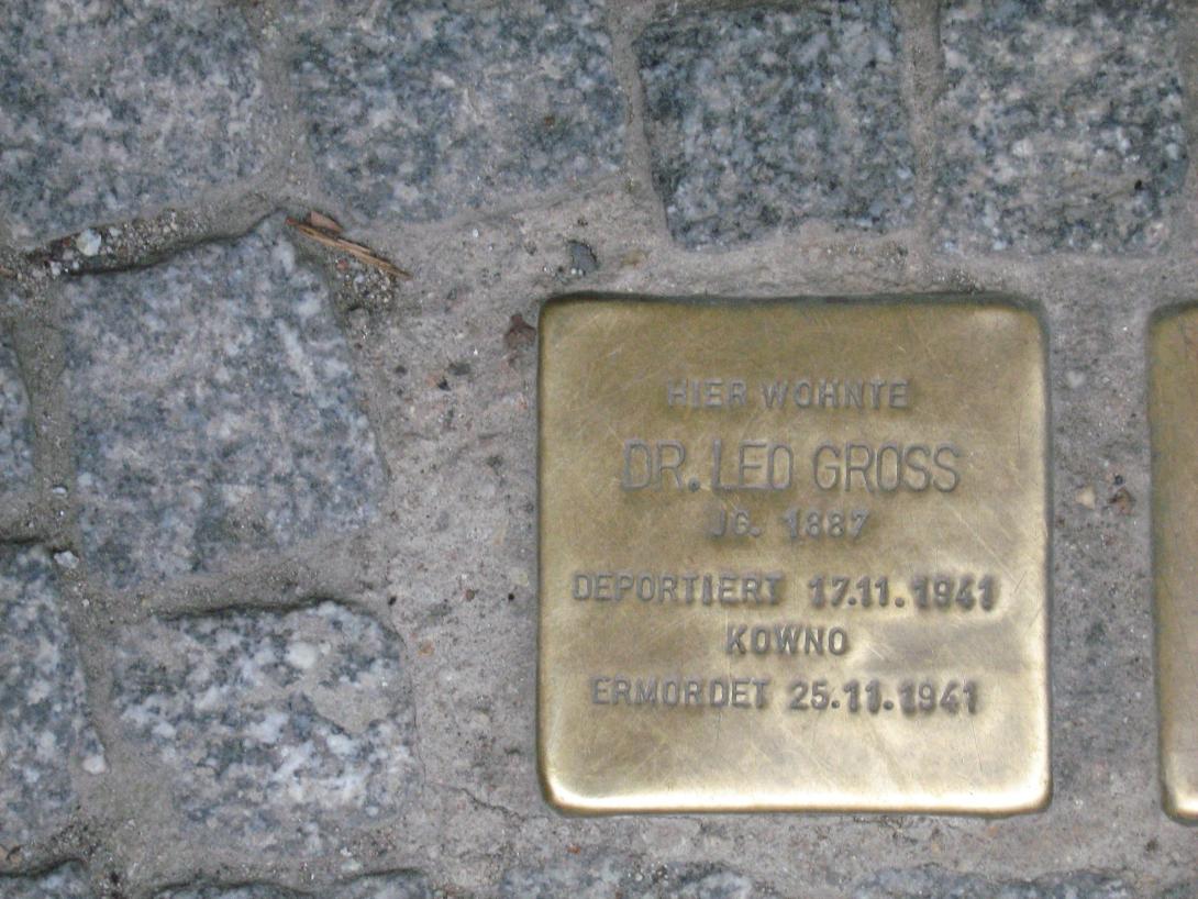 Dr. Leo Gross