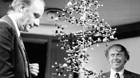 Discovery of DNA